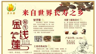 金线莲海报图片