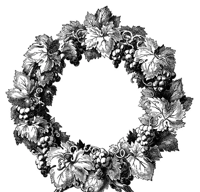 葡萄 葡萄纹 欧式纹图片(4852x4994)