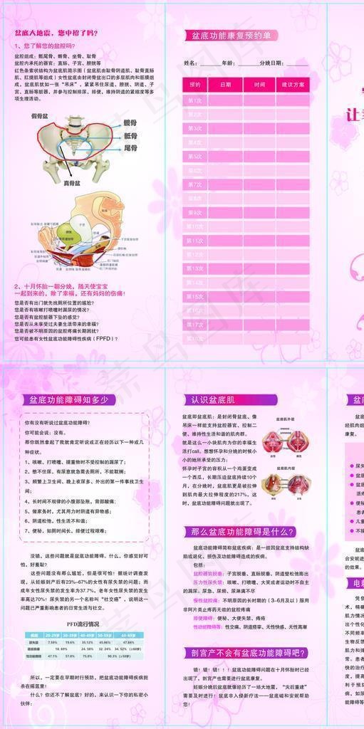 守护盆底健康图片cdr矢量模版下载