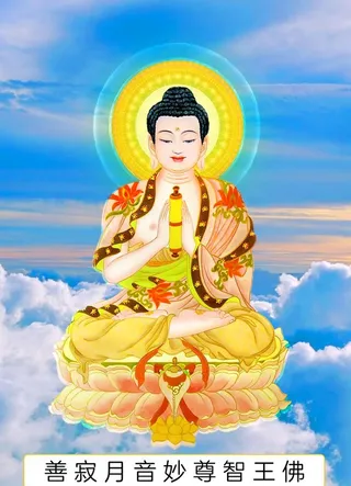 八十八佛,88佛,善寂月音妙尊,智王佛,