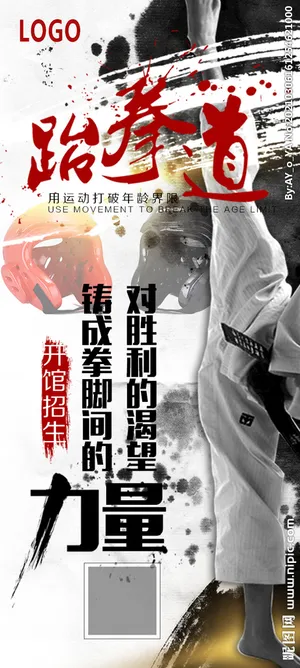 跆拳道海报图片