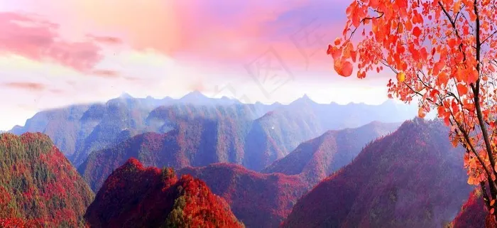 香山红叶图片