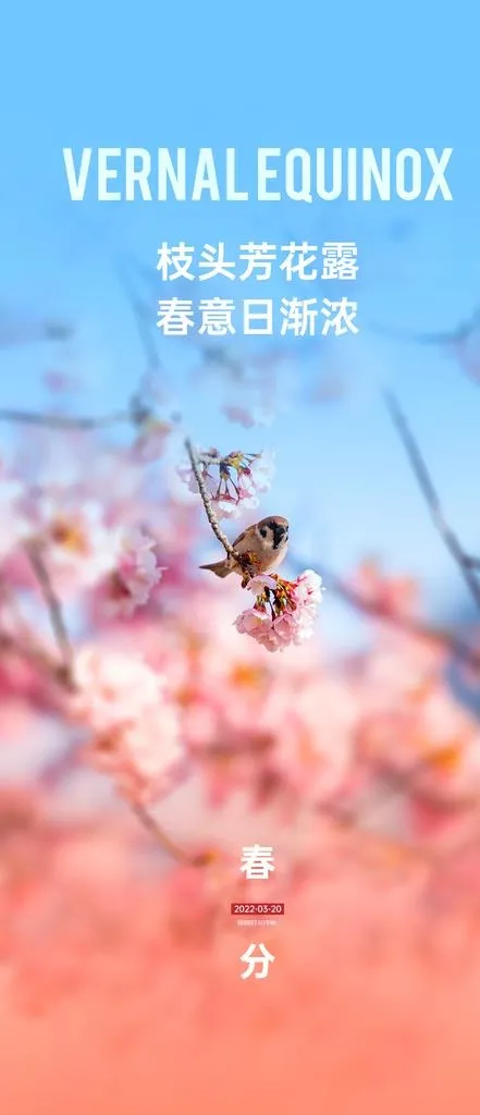 春分图片(1080x2340)psd模版下载