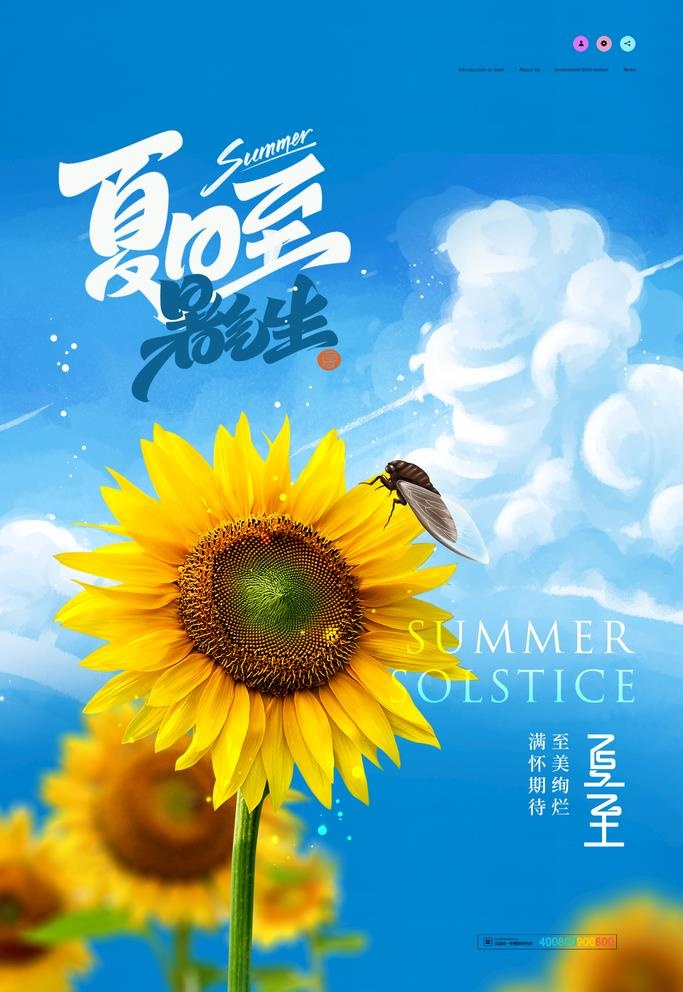 简约清新向日葵夏至节气海报图片(2362x3543)psd模版下载