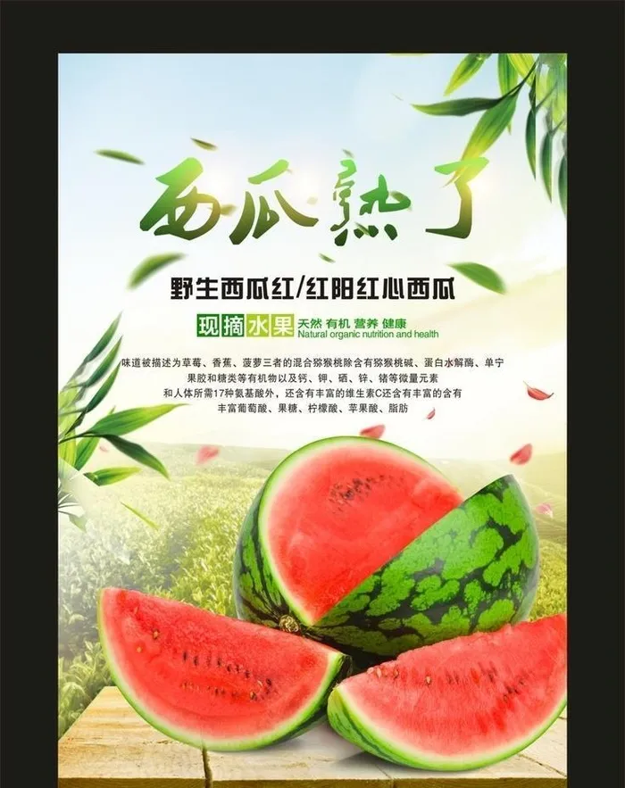西瓜熟了 宣传海报图片cdr矢量模版下载