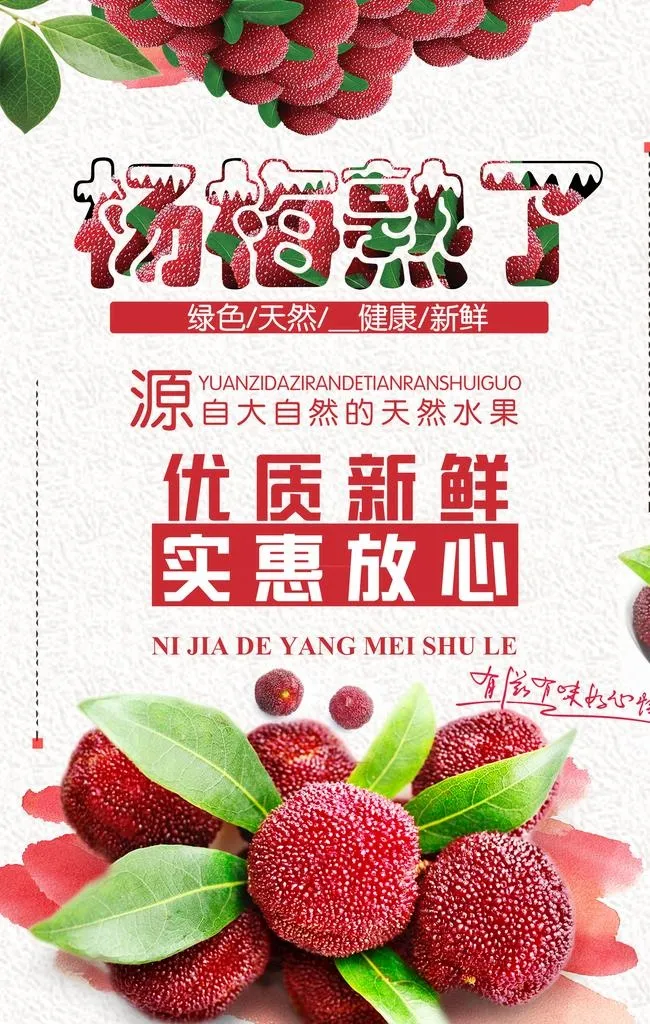 杨梅图片(1667x2500)psd模版下载