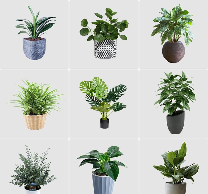 免扣绿植盆栽素材图片(1024x1024)psd模版下载