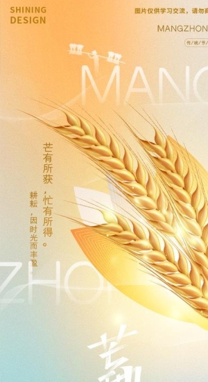 芒种海报图片