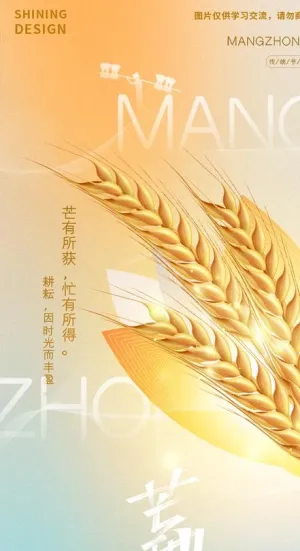 芒种海报图片