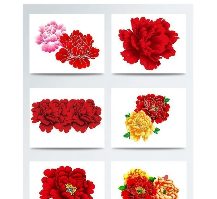 牡丹花 图片(1303x1417)psd模版下载