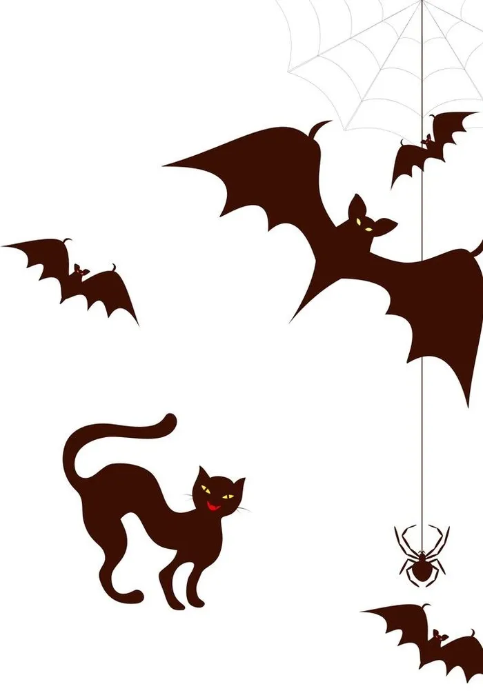 蝙蝠 黑猫 蜘蛛网图片