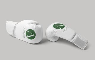 搏击手套样机图片