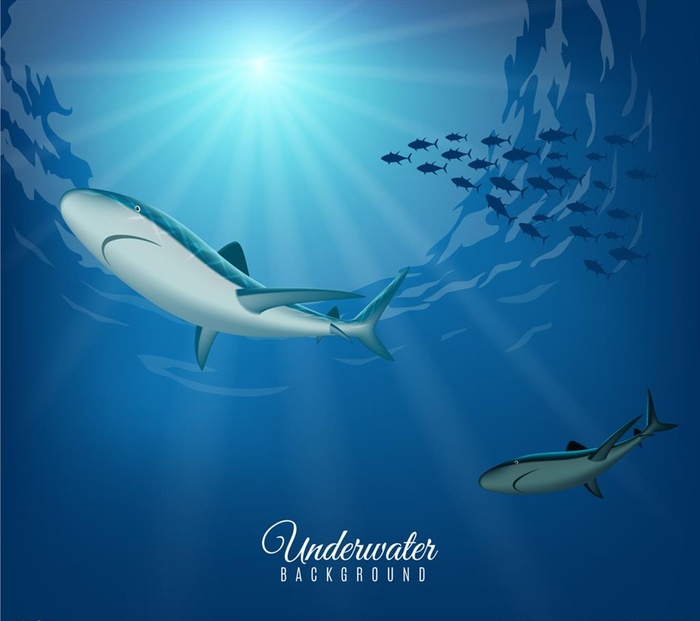 创意海底鱼群和鲨鱼图片