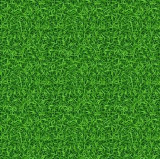 矢量绿草皮图片