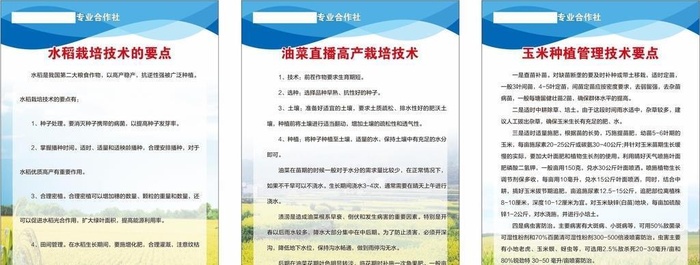 农作物栽培管理技术图片