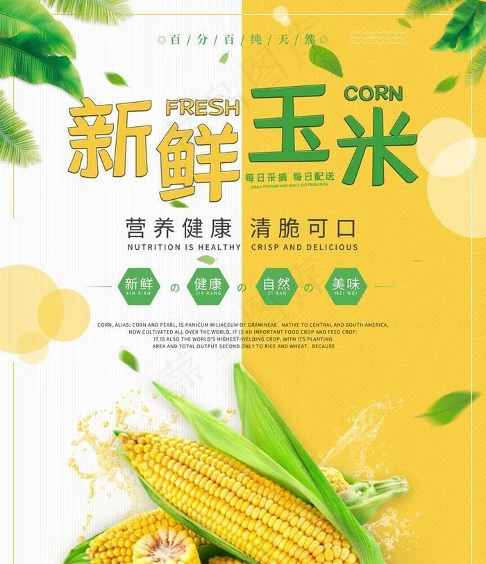 新鲜玉米海报图片(4724x6299)psd模版下载