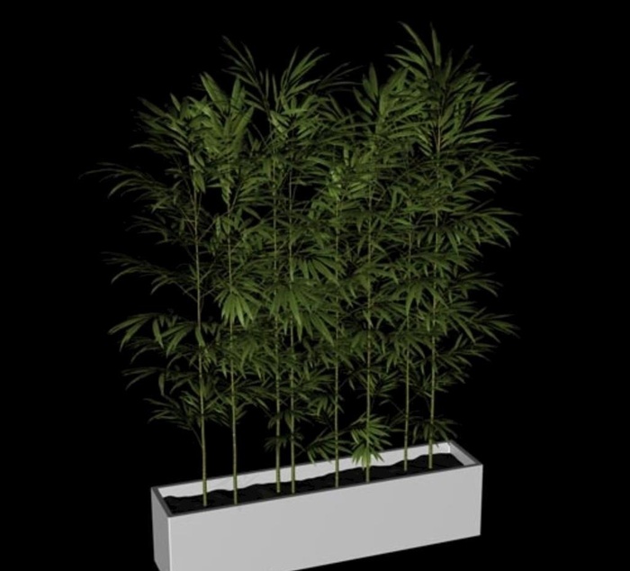 花草模型 植物模型 花卉模型图片