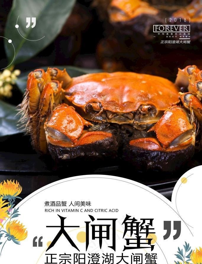 大闸蟹海报图片(3543x5315)psd模版下载