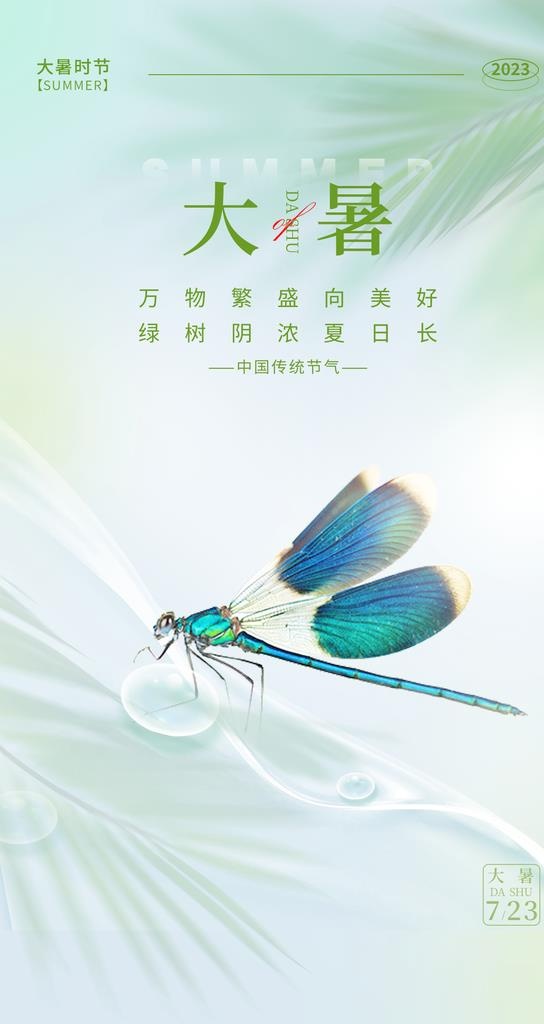 大暑海报图片(1242x2208)psd模版下载