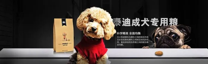 泰迪贵宾犬 成犬专用粮图片(1480x500)psd模版下载