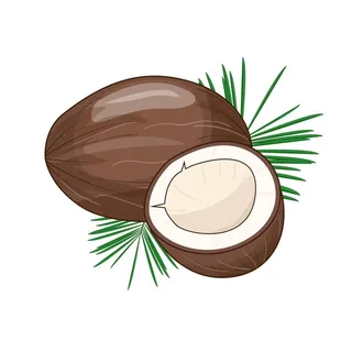 椰子图片