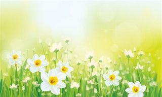 梦幻水仙花丛矢量素材图片