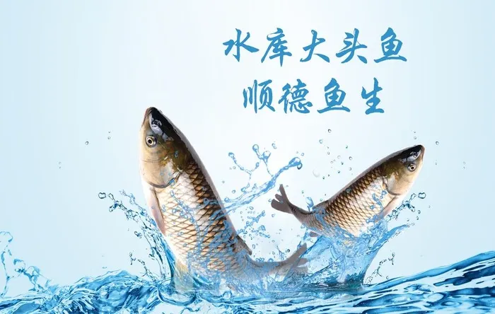 顺德鱼生图片(3000x2000)psd模版下载