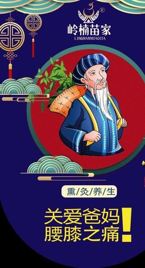 岭南苗家海报 图片