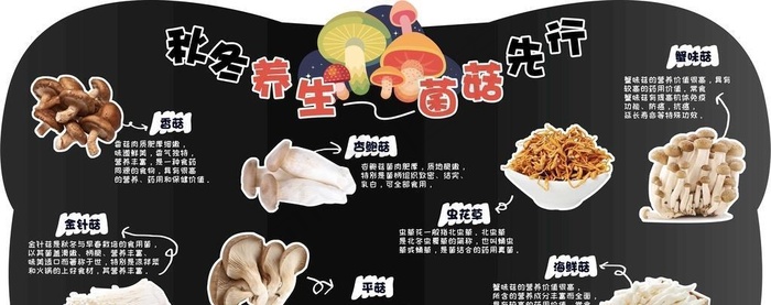 超市菌菇节图片(8268x4429)psd模版下载