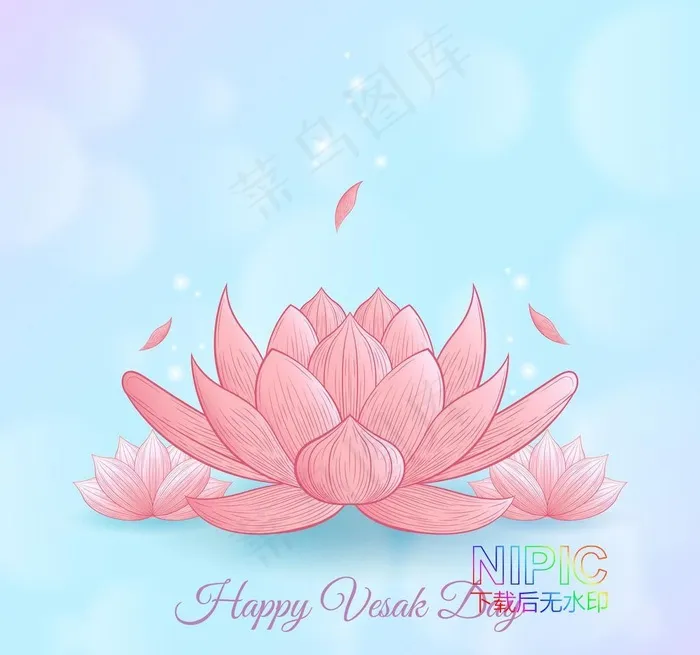 荷花图片
