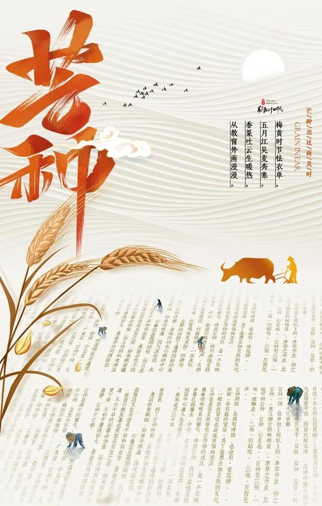 芒种图片(2362x3543)psd模版下载
