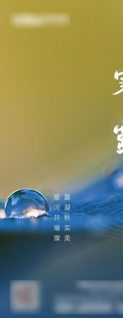 24节气寒露海报图片