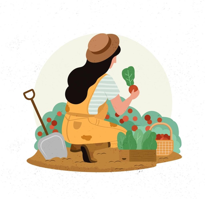 种植栽培插画图片ai矢量模版下载