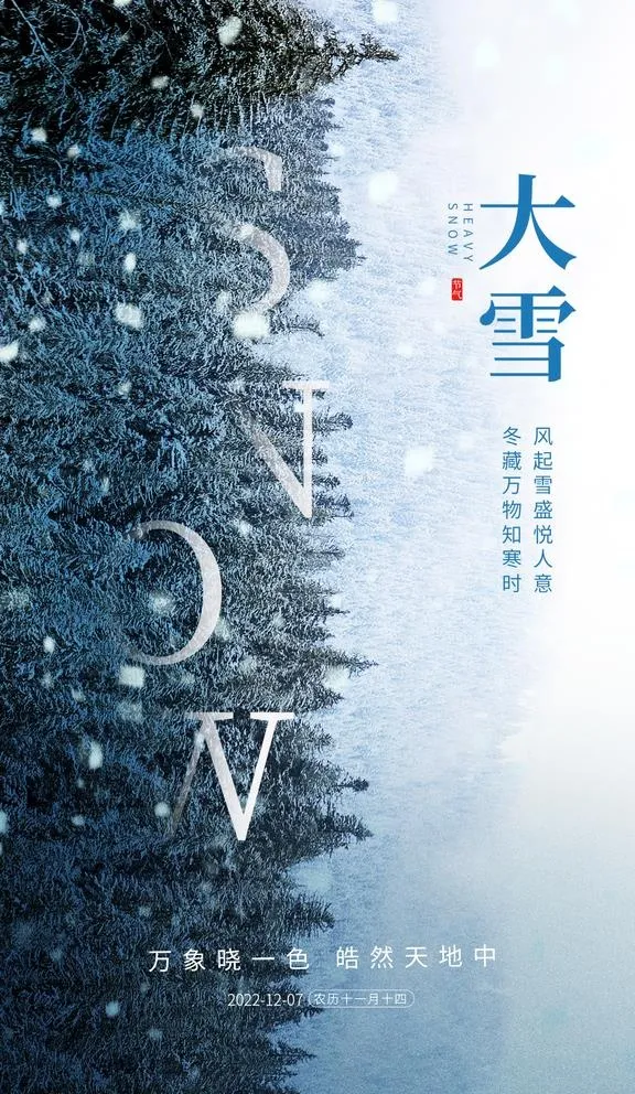 大雪节气海报图片(1181x2100)psd模版下载