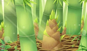 卡通竹子竹笋图片