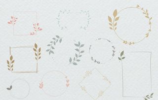 矢量标题框 花草图片