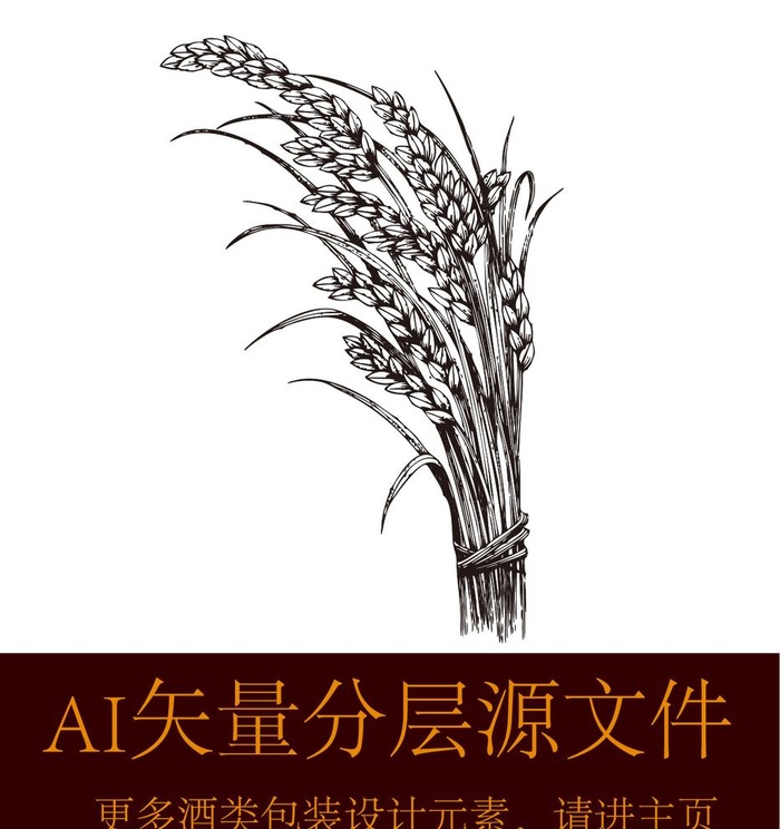 麦子稻穗小麦图片ai矢量模版下载