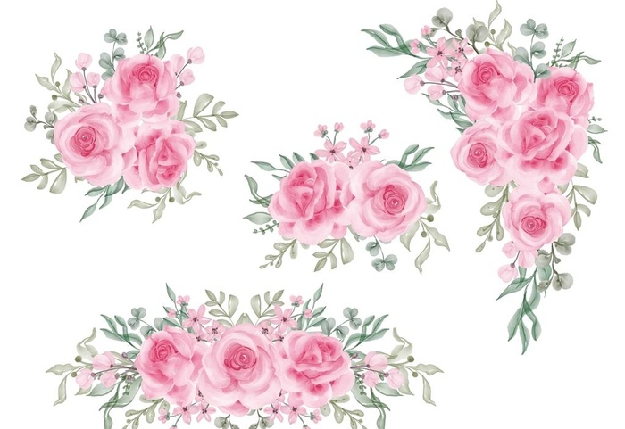 蔷薇花束手绘插画图片