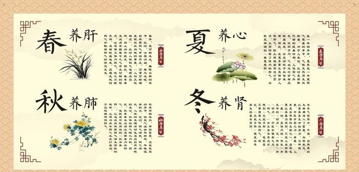 中医养生图片cdr矢量模版下载