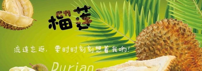 水果榴莲卡布灯箱图片