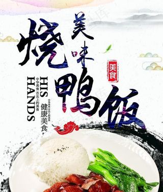 美味烧鸭饭图片