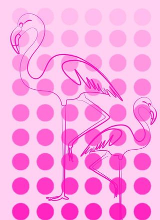 粉色丹顶鹤图片