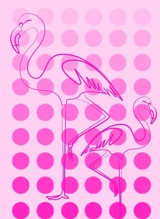 粉色丹顶鹤图片