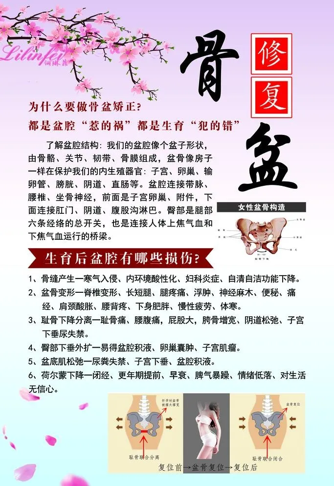 骨盆修复图片(3543x5315)psd模版下载