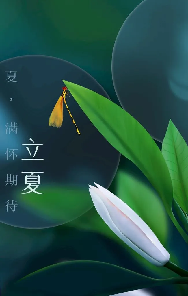 立夏图片(2362x3543)psd模版下载