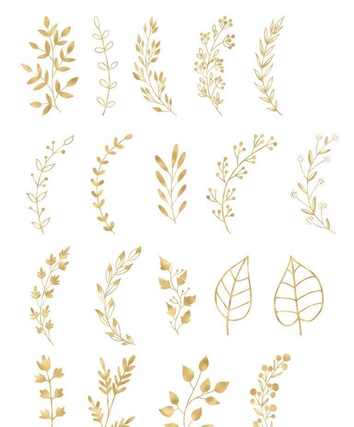 金色线描植物树叶图片(1772x2362)psd模版下载