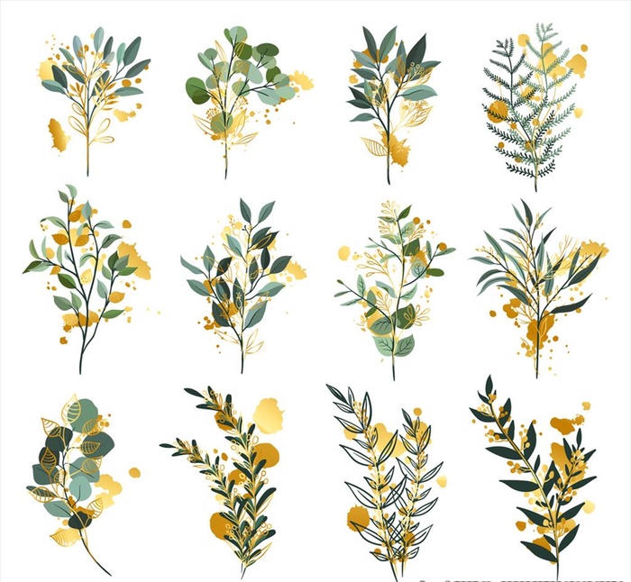 创意绿色树枝图片