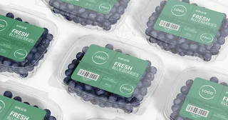 水果店vi蓝莓包装样机贴图图片