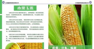农产品宣传页图片