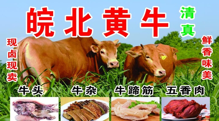 黄牛图片(4724x2756)psd模版下载